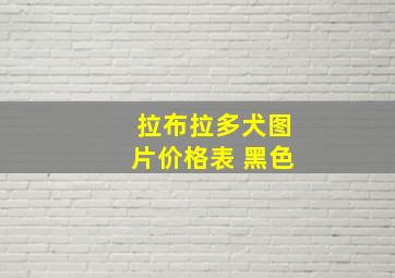 拉布拉多犬图片价格表 黑色